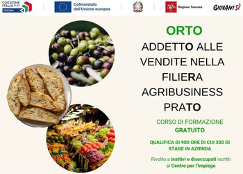 ORTO addettO alle vendite nella filieRa agribusiness praTO