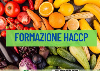 CORSO HACCP 